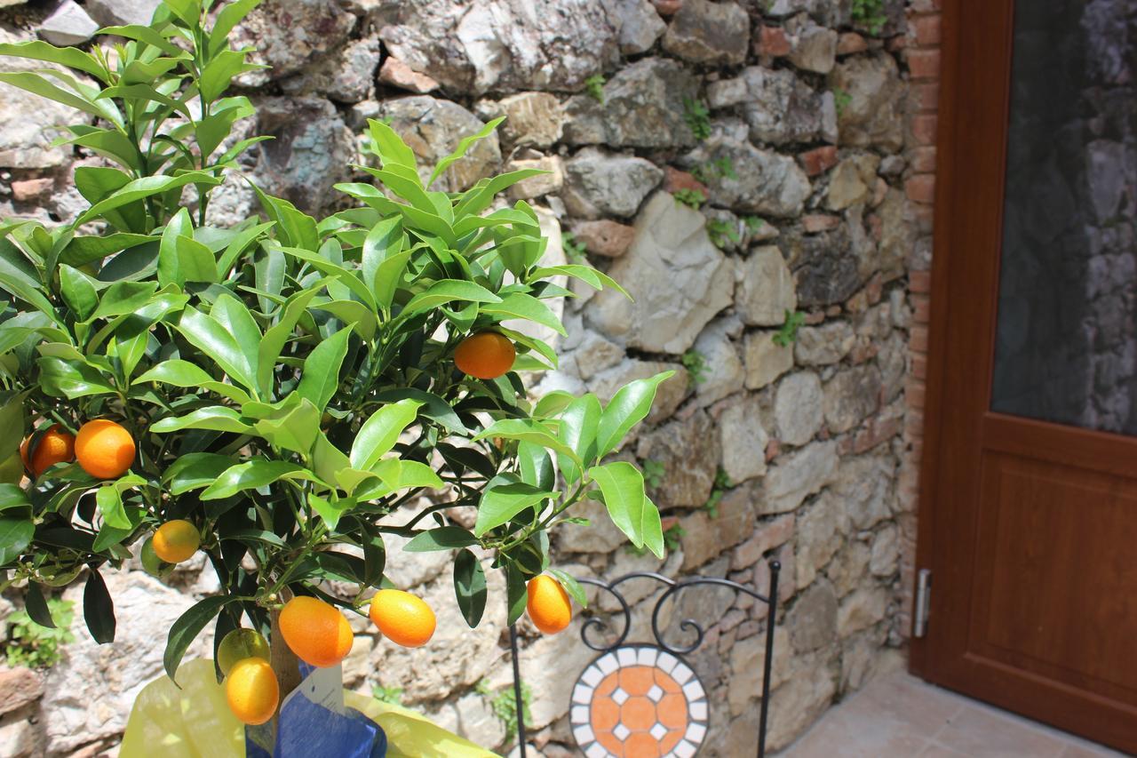 B&B Canneto Монтеверди Маритимо Екстериор снимка
