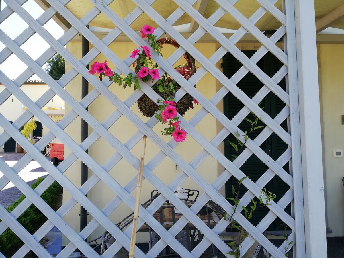B&B Canneto Монтеверди Маритимо Екстериор снимка